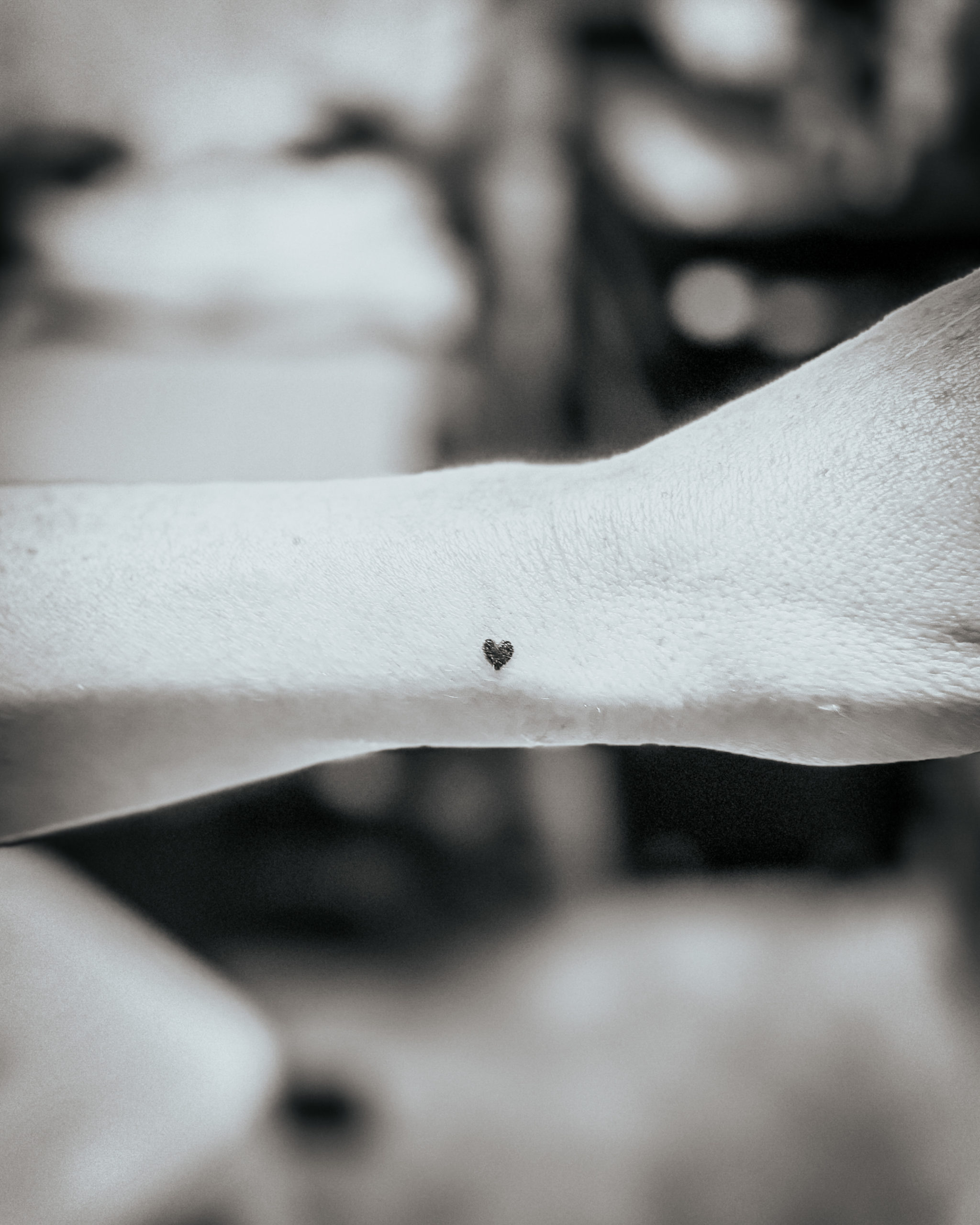 Tatouage entre 2 amie au Touquet Paris Plage