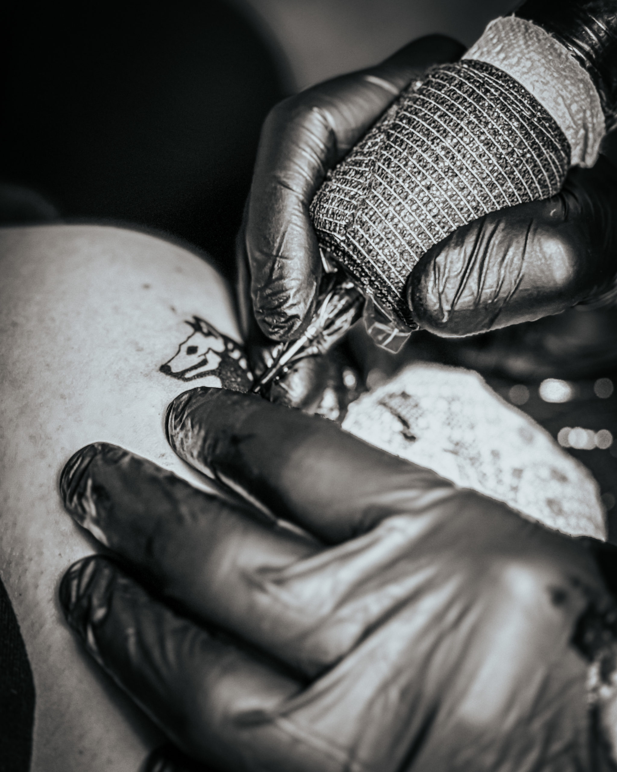 Tatouage d'un loup au salon du Touquet